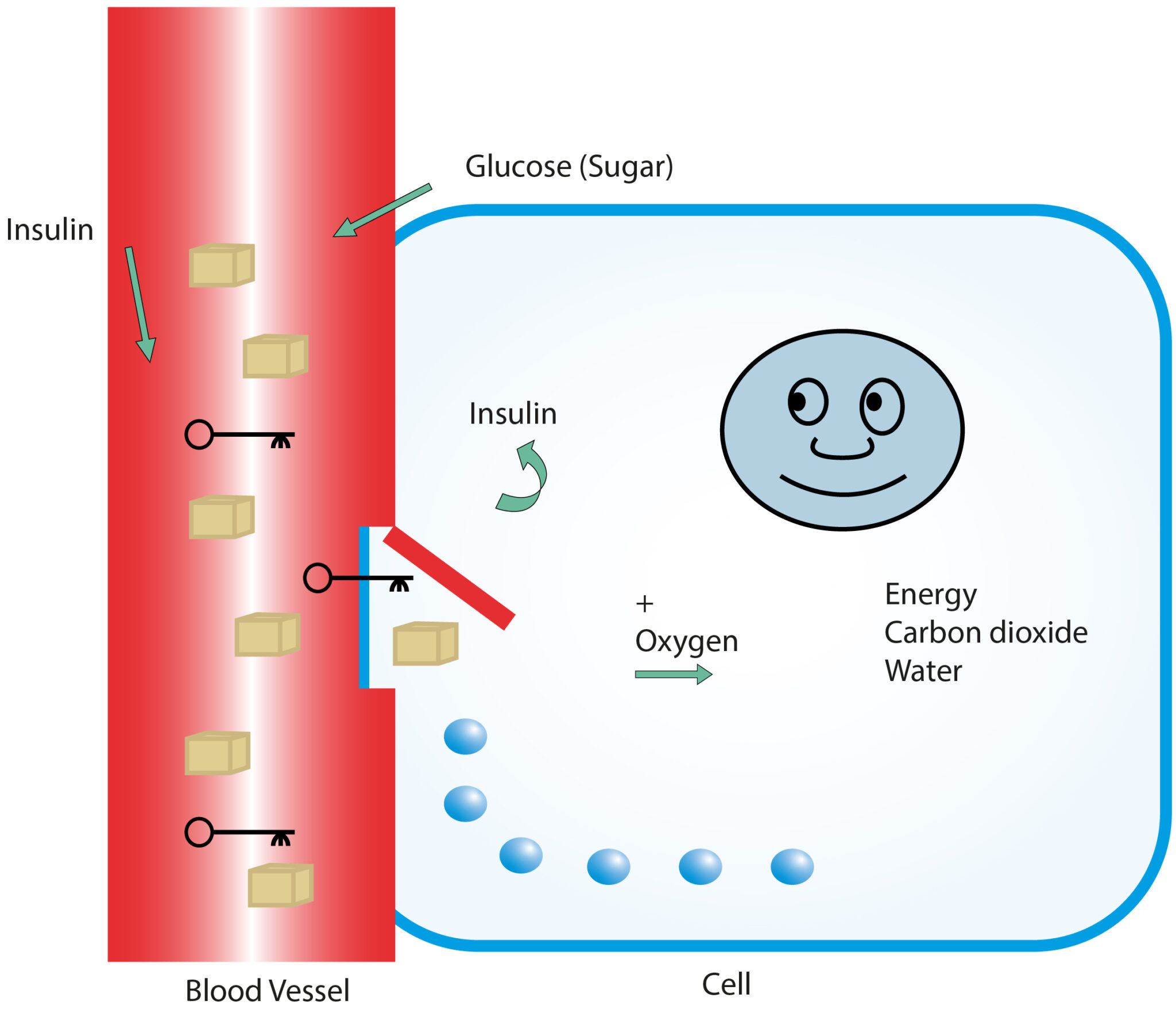 IST Time Now visual data 5